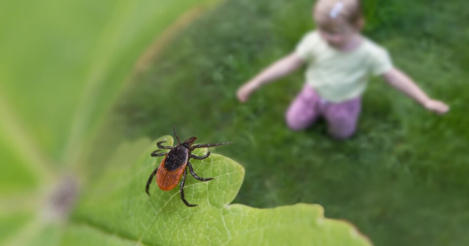 Zeckenimpfung und Zeckenschutz für Kinder