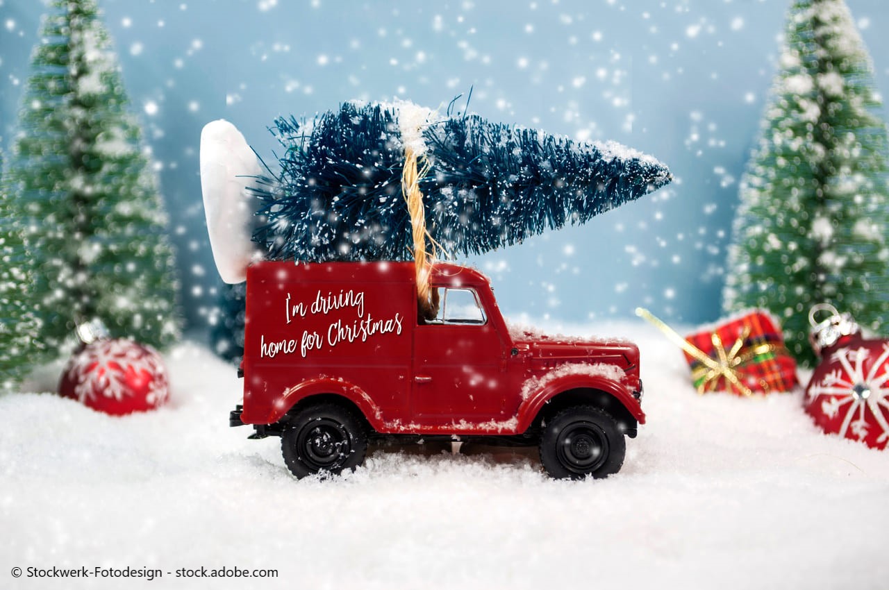 Auto mit Tannenbaum auf dem Dach