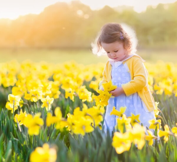 Gedichte über den Frühling für Kinder.