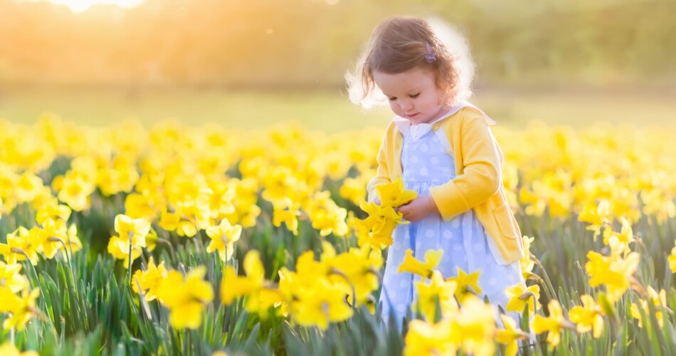 Gedichte über den Frühling für Kinder.