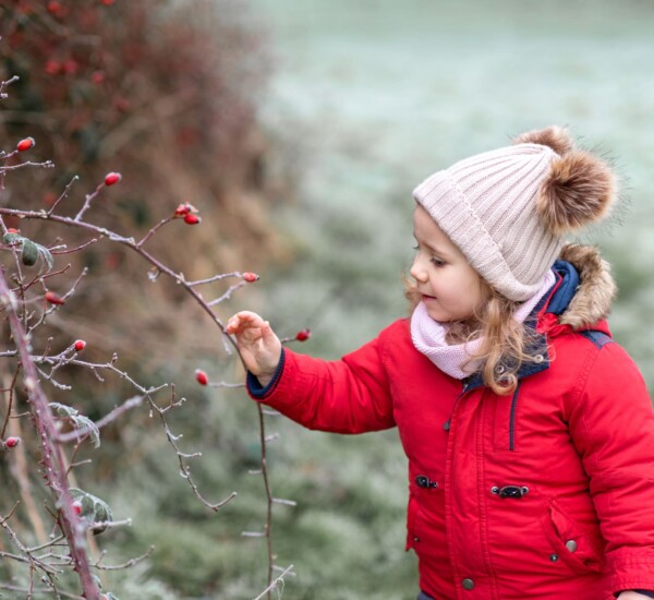 Gärtnern mit Kindern im Januar