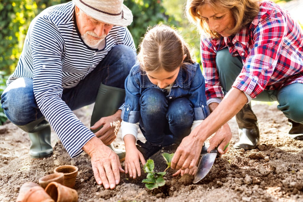 Großeltern und Enkelin gärtnern gemeinsam im Garten im März