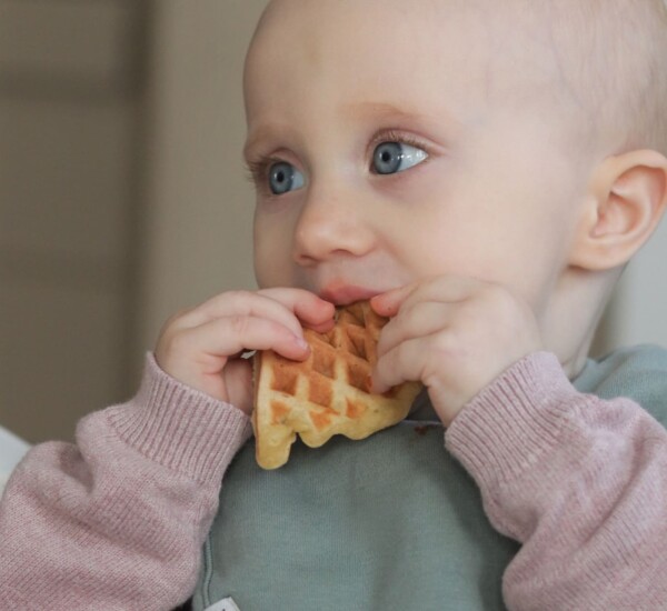 Baby hält eine zuckerfreie Bananenwaffel in der Hand