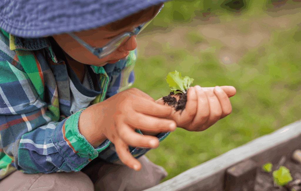 Kind hält kleine Pflanze in der Hand beim Gärtnern im April