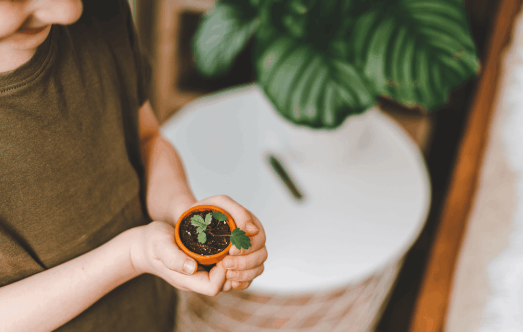 Kind hält kleine Pflanze im Topf auf der Fensterbank im Frühling