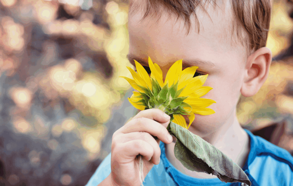 Kind riecht an einer Sonnenblume im Garten im Frühling