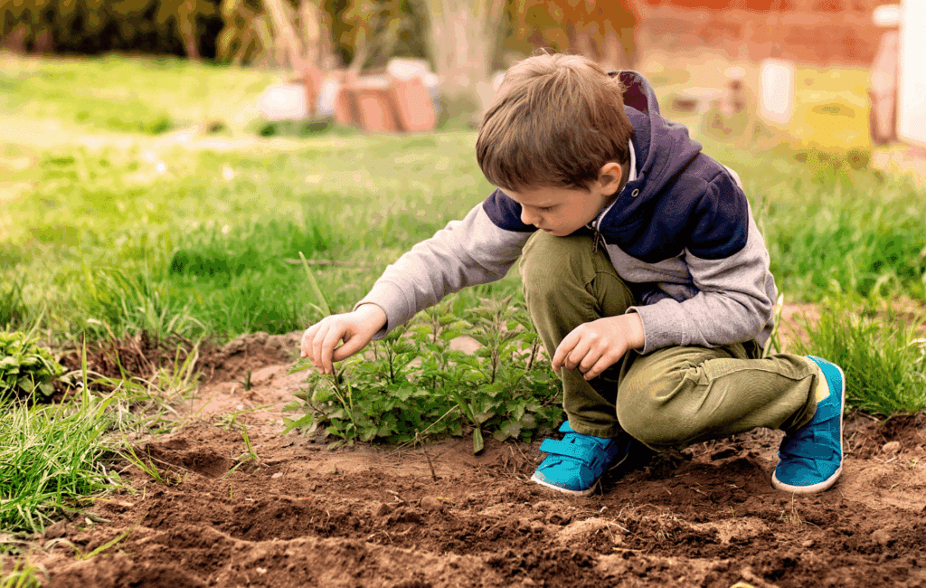 Kind legt Sonnenblumensamen in Erde beim Gärtnern mit Kindern im April