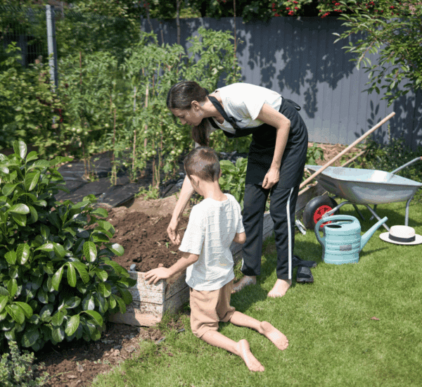 Mutter und Kind pflanzen gemeinsam Tomaten in ein Gartenbeet im Mai.