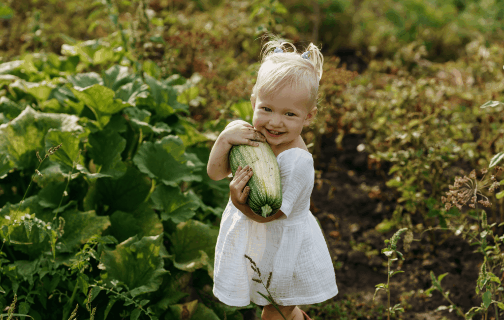 Ein kleines blondes Mädchen im weißen Kleid steht lächelnd im Gemüsegarten und hält stolz eine große, frisch geerntete Zucchini im Arm.