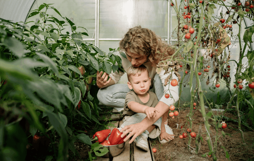 Mutter und Kind pflegen Tomatenpflanzen in einem kleinen Gewächshaus im Garten.