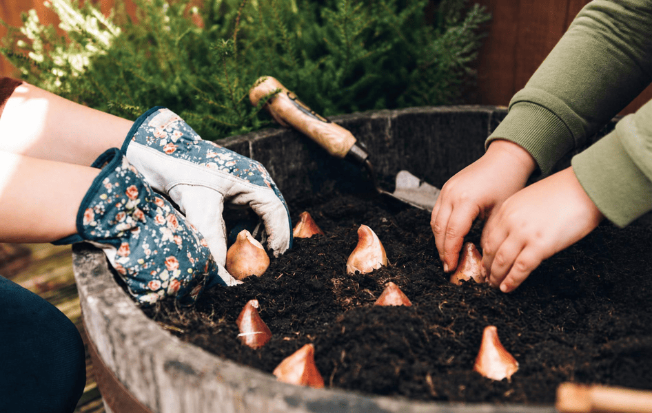 Kinder und Erwachsene setzen gemeinsam Blumenzwiebeln ins Beet