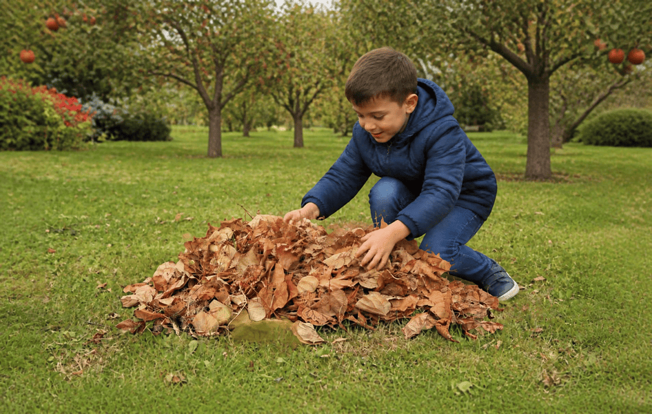 Kind sammelt Herbstlaub im Garten vor Apfelbäumen